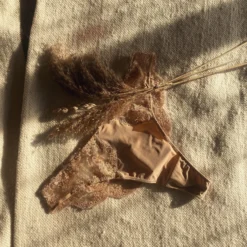 Coutille High Flyer Brazilian In Oat 7 Coutille High Flyer Brazilian In Oat