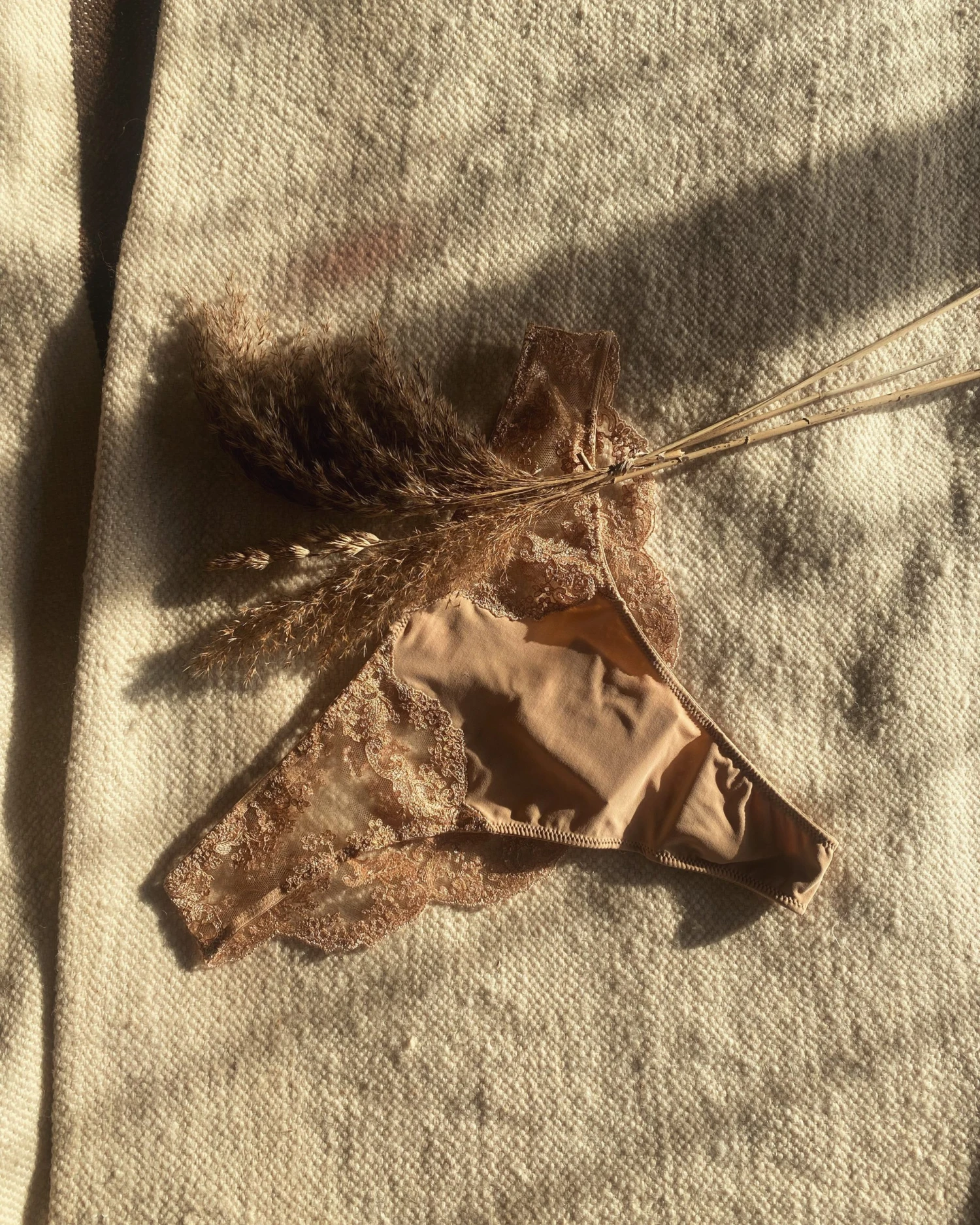 Coutille High Flyer Brazilian In Oat 5 Coutille High Flyer Brazilian In Oat