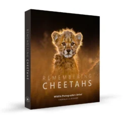 Margot Raggett Books Remembering Cheetahs