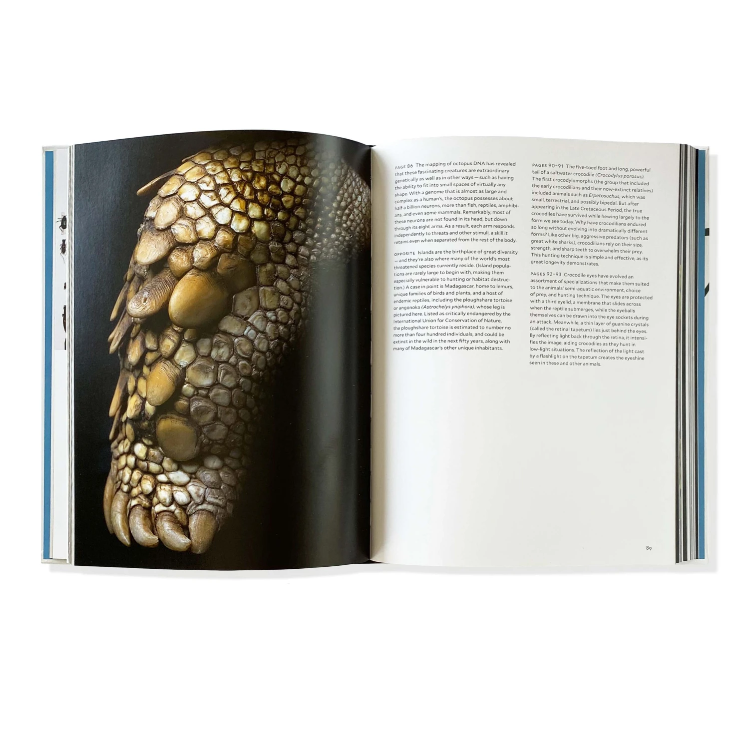 GBS Phaidon Evolution: A Visual Record Books 4 GBS Phaidon Evolution: A Visual Record Books