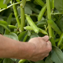 Take-a-little-thyme Experience Thyme A Seasonal Masterclass For Two