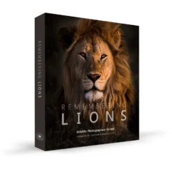 Margot Raggett Remembering Lions