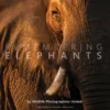 Margot Raggett Remembering Elephants Books 1 Margot Raggett Remembering Elephants Books