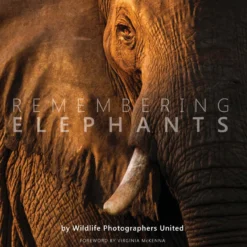 Margot Raggett Remembering Elephants Books