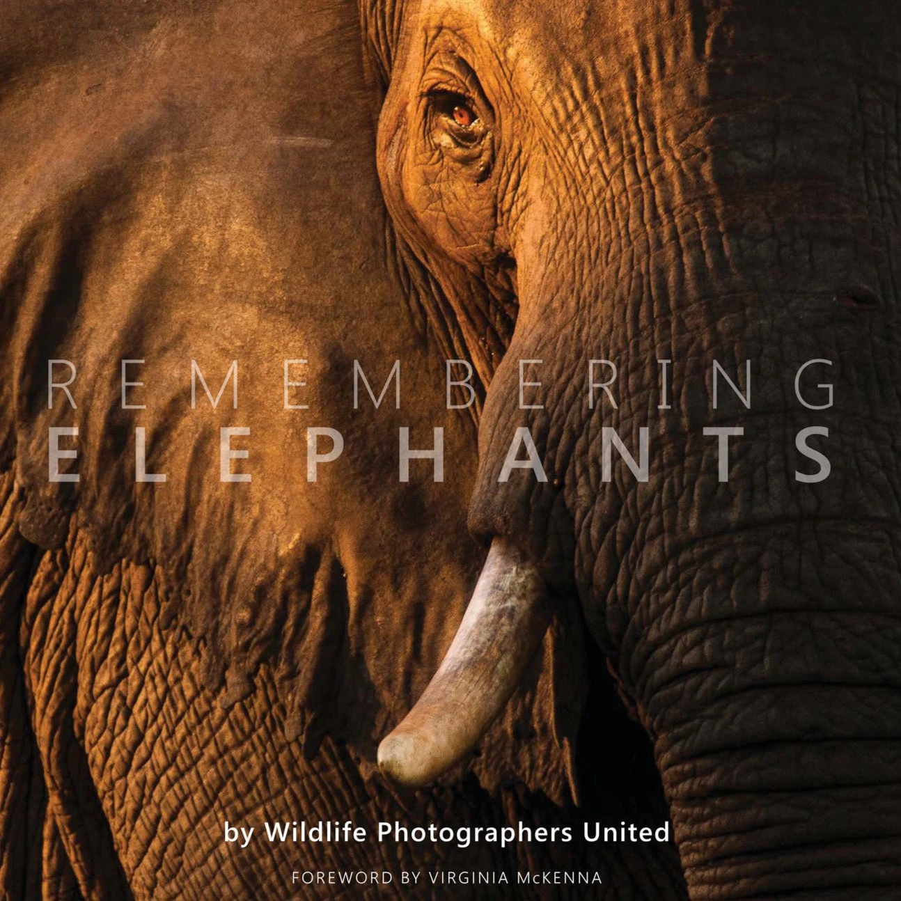 Margot Raggett Remembering Elephants Books 3 Margot Raggett Remembering Elephants Books