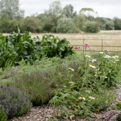 Take-a-little-thyme Voucher For A Thyme Getaway Experience Thyme