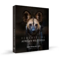 Margot Raggett Remembering Wild Dogs Books